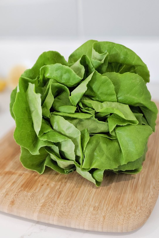 00100lPORTRAIT_00100_BURST20190706132405601_COVER